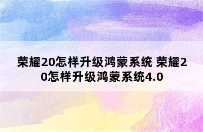 荣耀20怎样升级鸿蒙系统 荣耀20怎样升级鸿蒙系统4.0